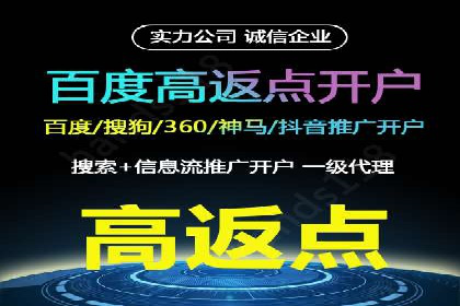 实战解析：百度竞价排名服务成功案例