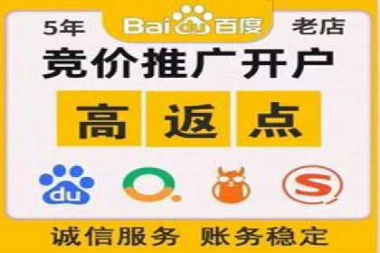 行业领先的SEM策略：成功案例与经验分享